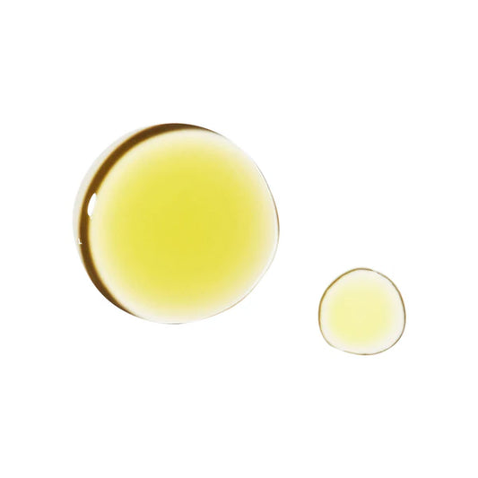 Alo Glow System Head To Toe Glow Oil 95ml