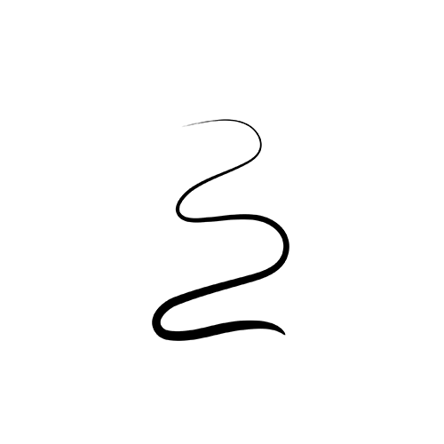 Colormax Cat Eye The Liner- Midnight Black 1.2ml