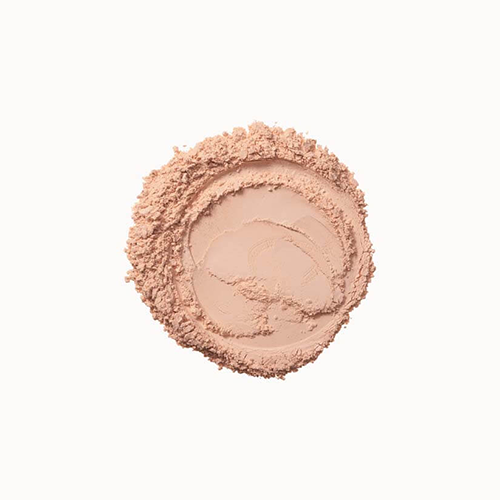 Colormax Photo Chromatic Pressed Powder 01 Natural Beige, 8g
