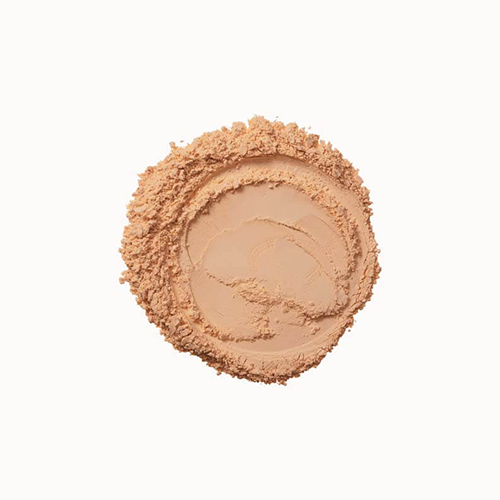 Colormax Photo Chromatic Pressed Powder 06 Honey, 8g