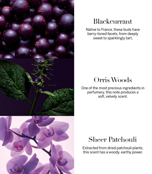 Victoria's Secret Very Sexy Orchid Fine Fragrance Lotion 250ml