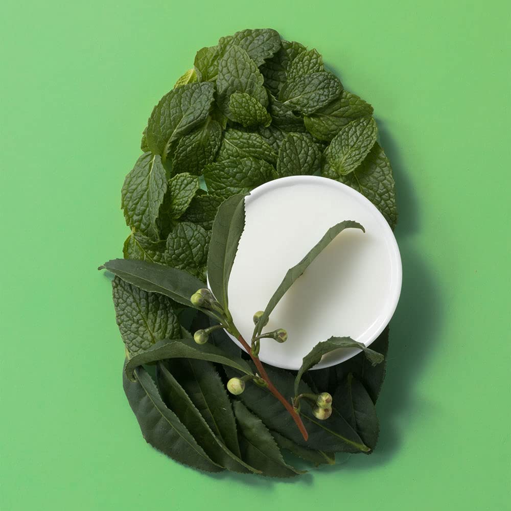 OGX Extra Strength Refreshing Scalp Teatree Mint Shampoo 385ml