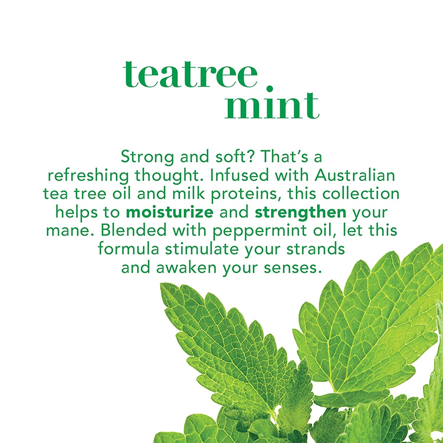 OGX Extra Strength Refreshing Scalp Teatree Mint Shampoo 385ml