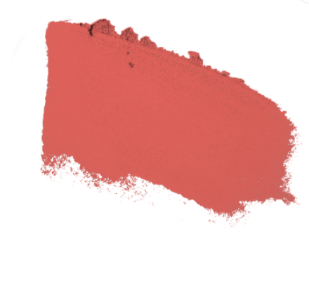 Juice Beauty PHYTOPIGMENTS Last Looks Cream Blush-Orange Blossom