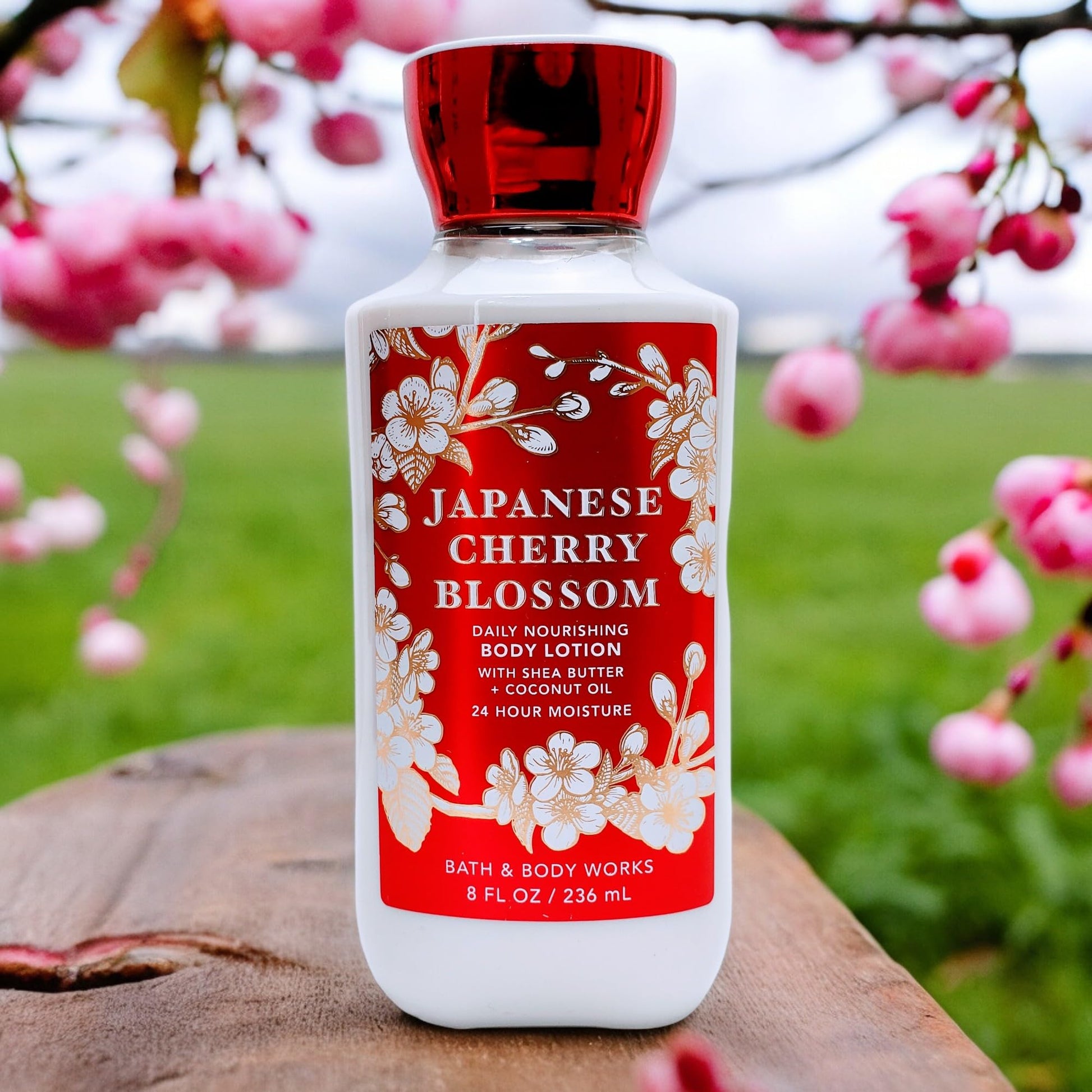 Bath & Body Works Japanese Cherry Blossom Daily Nourishing Body Lotion 236ml