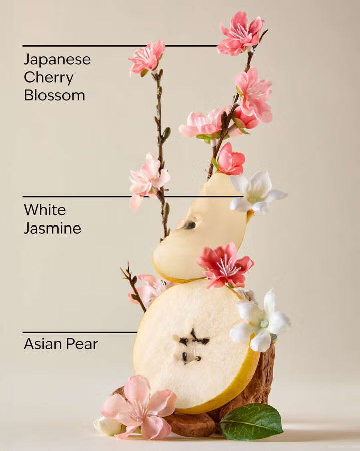 Bath & Body Works Japanese Cherry Blossom Fine Fragrance Mist 75ml