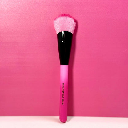 Pinky B Cosmetics  Pretty in Pink Brush Set