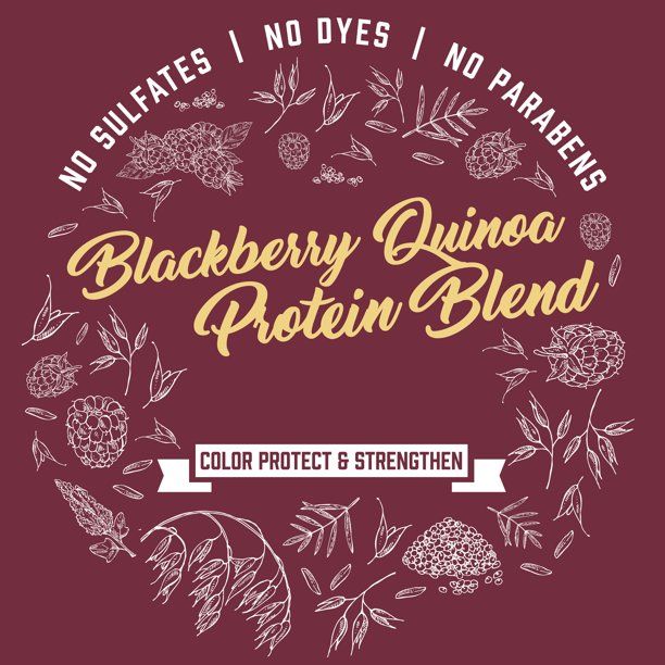 Aveeno Blackberry Quinoa Protein Blend Conditioner 354ml