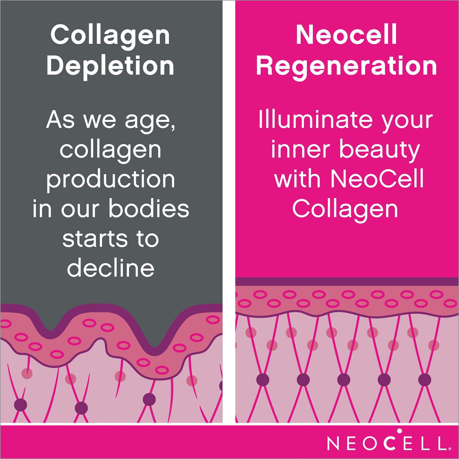 Neocell Super Collagen + Vitamin C & Biotin 360 Tablets