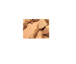 MAC Studio Fix Powder Plus Foundation NC42